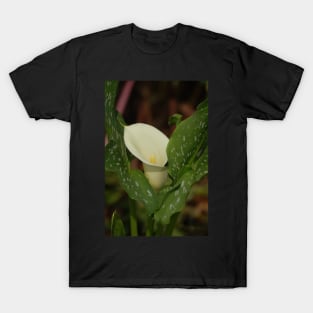 Calla Lily White Spotted Leaves T-Shirt